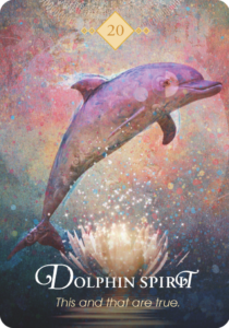 Read more about the article Dolphin Spirit
