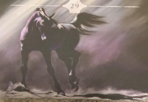 Read more about the article Black Horse Wisdom