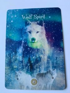 Read more about the article Wolf Spirit