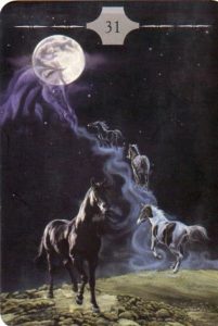 Read more about the article The Horse Ancestors