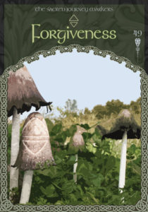Read more about the article Forgiveness