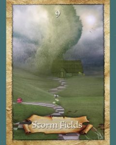 Read more about the article Storm Fields