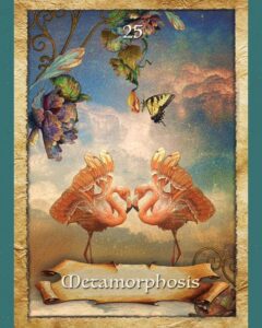 Read more about the article Metamorphosis