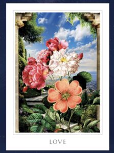 Read more about the article Love  Wild Rose