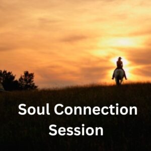 Soul Connection Session