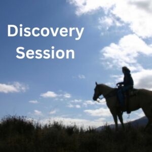Discovery Session